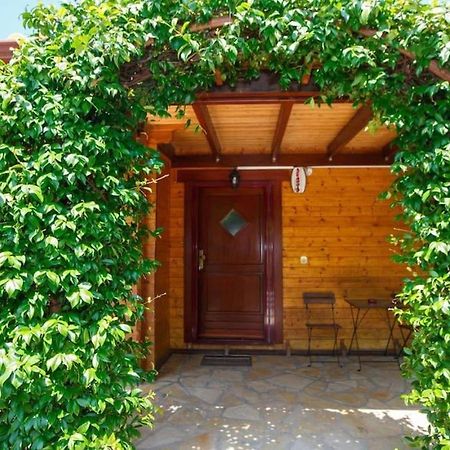Wooden House In Ioannina Διαμέρισμα Εξωτερικό φωτογραφία
