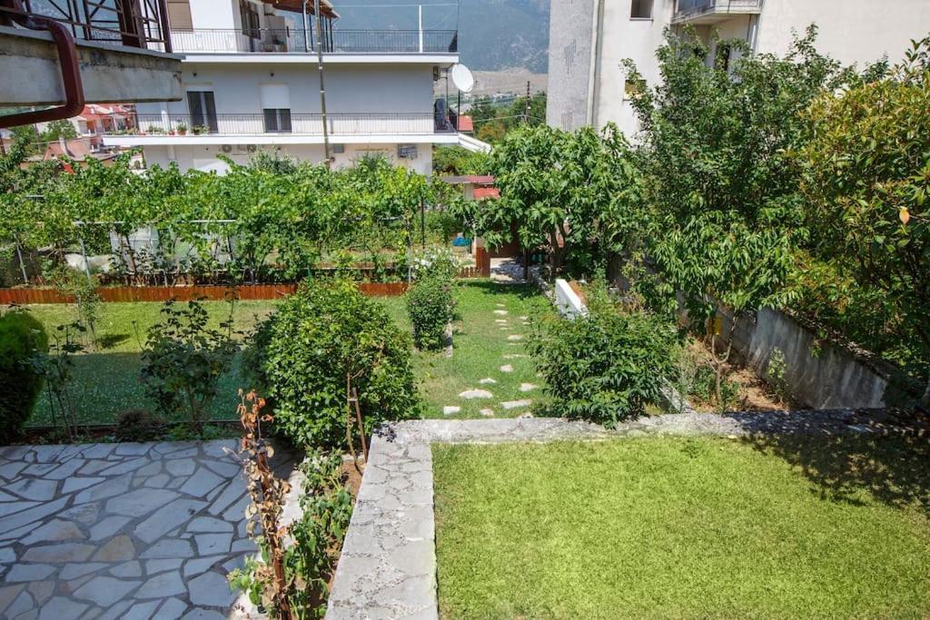 Wooden House In Ioannina Διαμέρισμα Εξωτερικό φωτογραφία