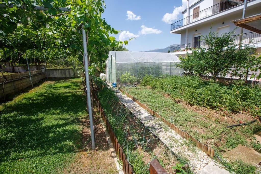 Wooden House In Ioannina Διαμέρισμα Εξωτερικό φωτογραφία