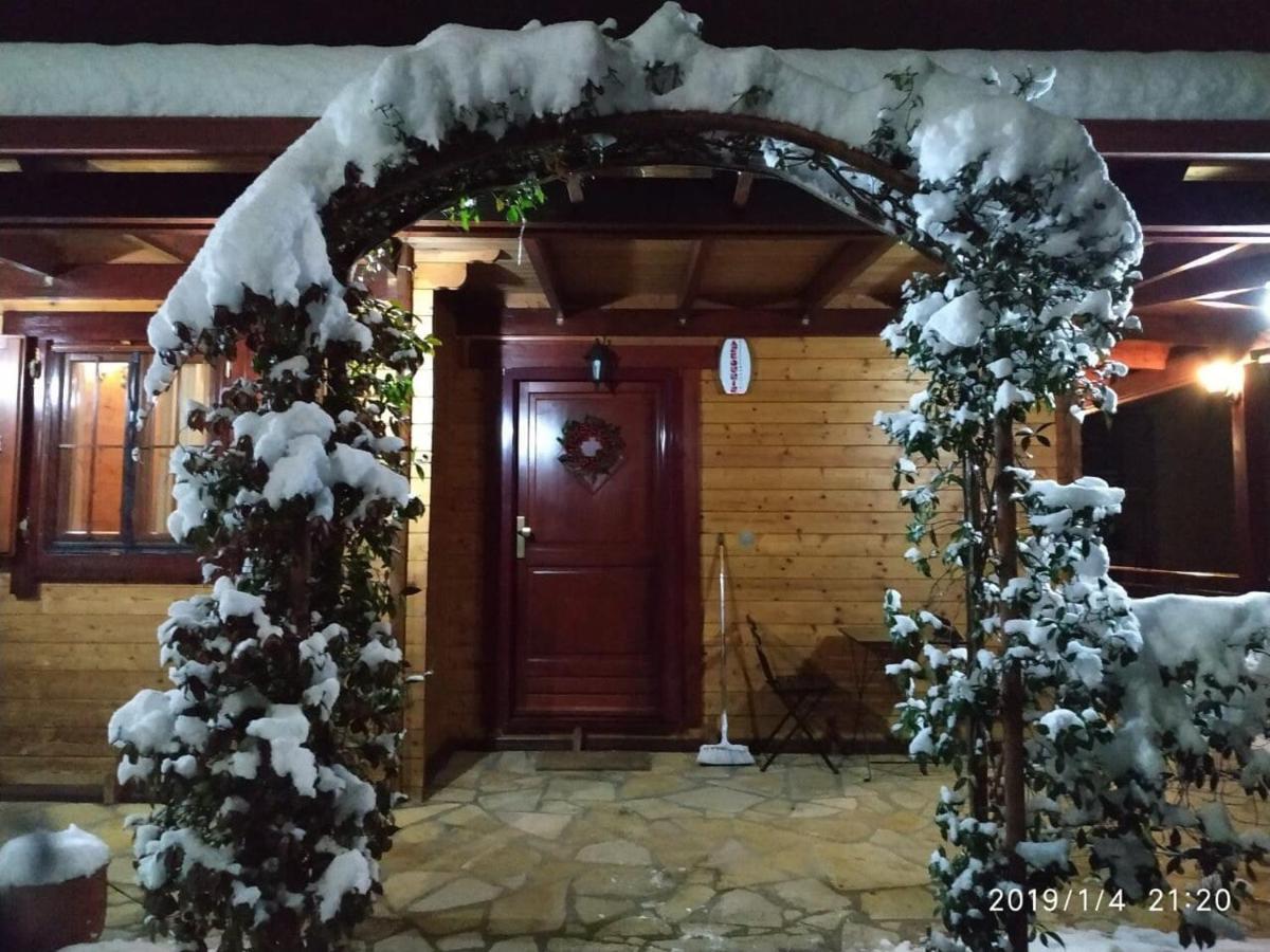 Wooden House In Ioannina Διαμέρισμα Εξωτερικό φωτογραφία