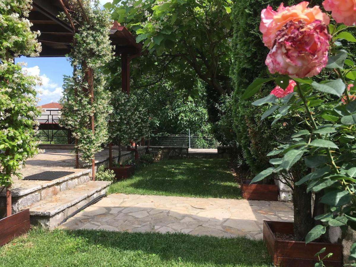 Wooden House In Ioannina Διαμέρισμα Εξωτερικό φωτογραφία